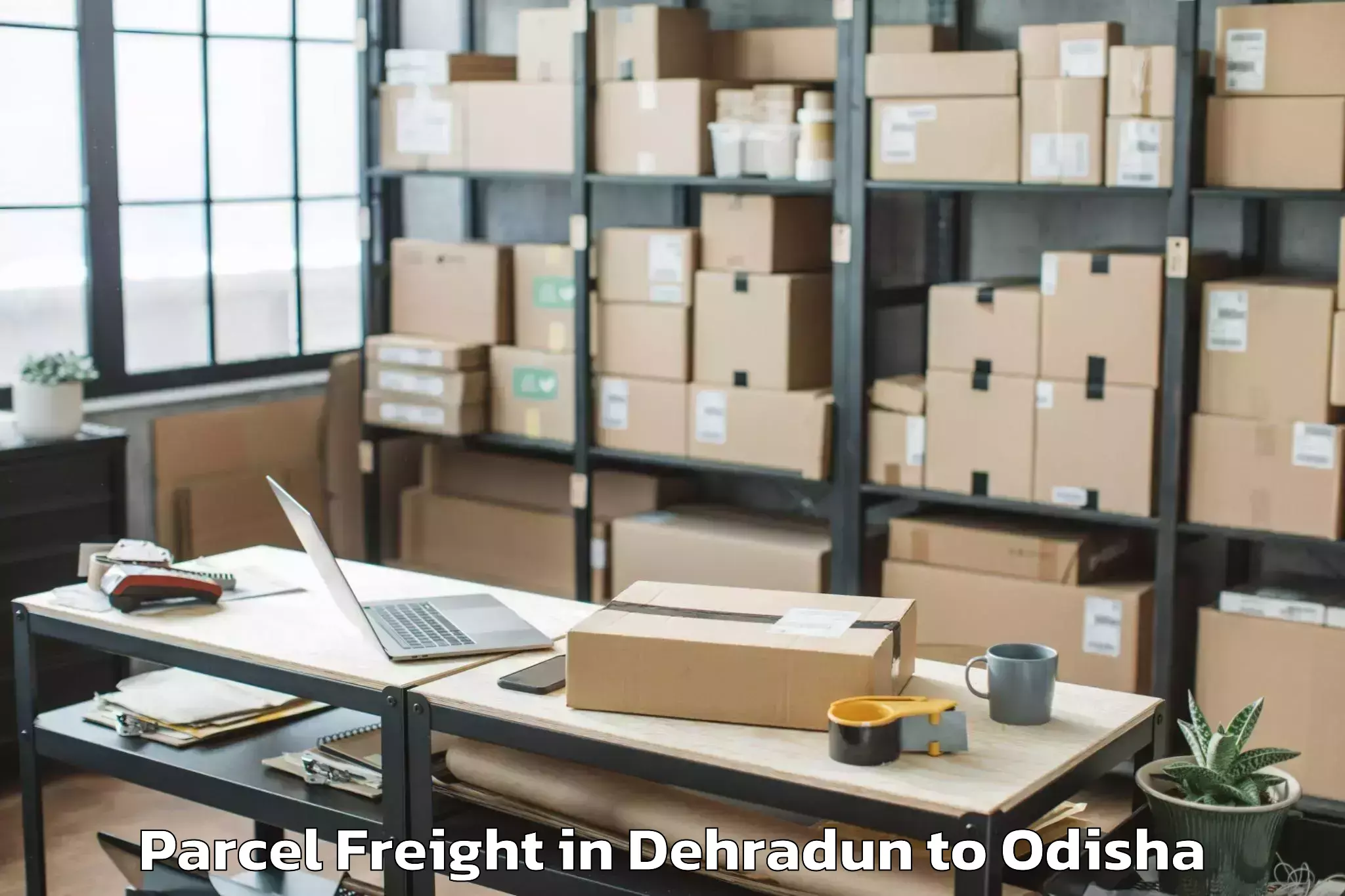 Quality Dehradun to Udayagiri Kandhamal Parcel Freight